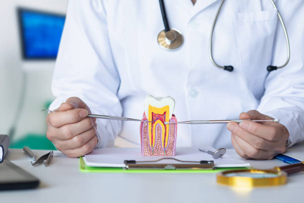 Best Emergency Dentist for Lost Fillings or Crowns in Greensboro, GA